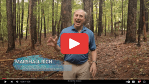 Explore Raleigh with Marshall Rich - Rich Realty